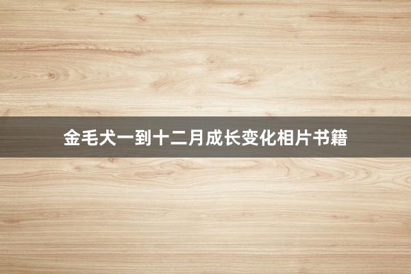 金毛犬一到十二月成长变化相片书籍